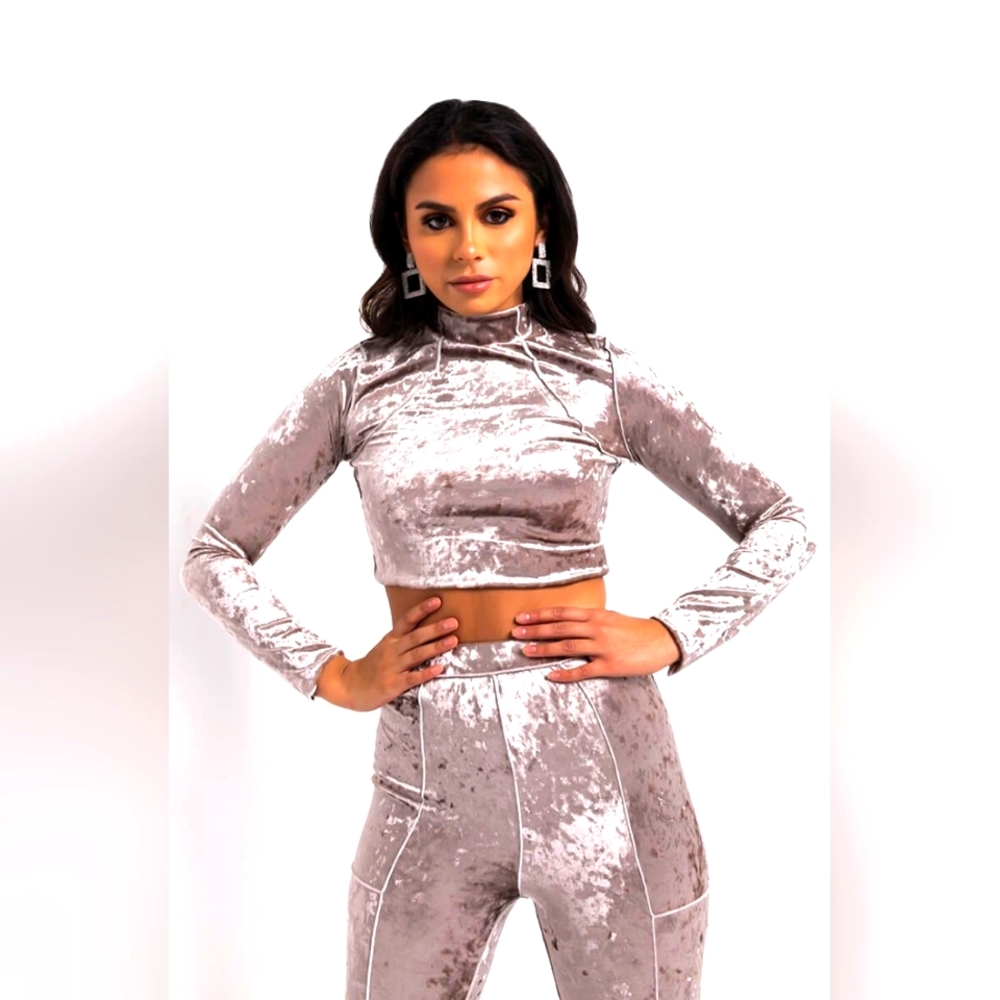 NWOT AKIRA Grey All Of You Long Sleeve Velvet Crop Top Size Small